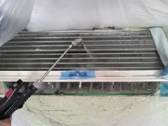 自然由来の “エコ洗剤” で優しくお掃除するので、デリケートな方にも安心・安全！サービスの画像