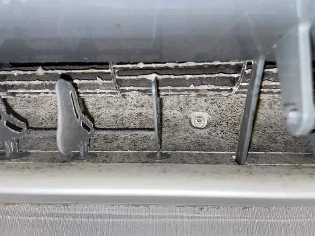 ◎女性スタッフ同行『2度洗いとエコ洗剤使用で安心安全作業』今なら抗菌サービス中！サービスの画像