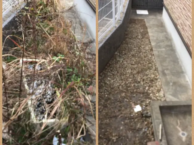 法人店舗◎お家の外見が劇的に変わります。草刈り後回収も致します★サービスの画像