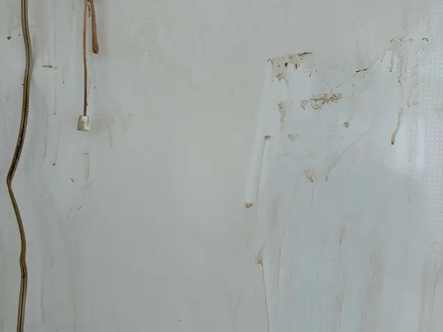 セルフクリーニングお手上げの方！◆女性スタッフがピカピカに仕上げます♪サービスの画像