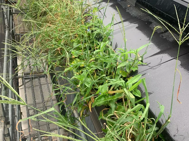 《地域密着》自信の完全自社施工◎損害保険加入済で万が一の際にも安心ですサービスの画像