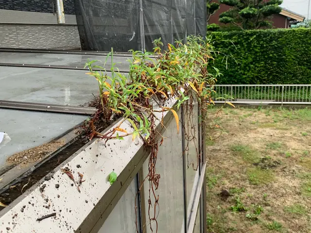 《地域密着》自信の完全自社施工◎損害保険加入済で万が一の際にも安心ですサービスの画像