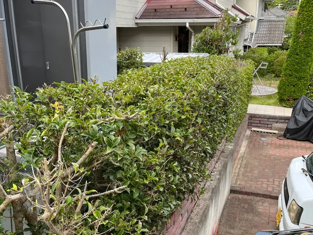 【☆地域密着で営業中☆】安心してお気軽にご相談ください！！サービスの画像