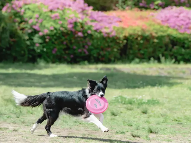 《ママカメラマン》撮影が大切な思い出に《丁寧な編集レタッチ》スライドショー無料
