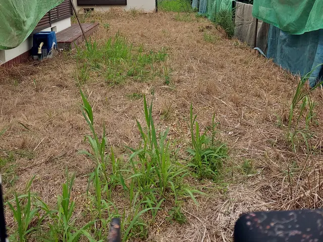 【年中無休】土日祝もご予約大歓迎！完全自社対応！営業時間外も対応可能！サービスの画像