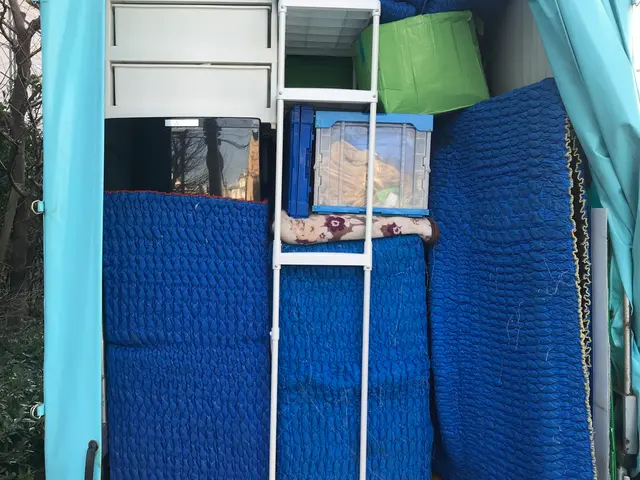 お引越し業社が見つからない方注目です！サービスの画像