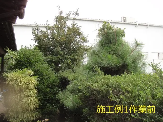 【大手造園会社での作業経験豊富】国家資格・造園施工管理技士の店長がお伺いします。サービスの画像