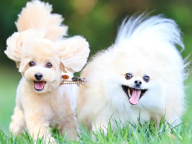 撮影歴7年・のべ数千頭の撮影実績！湘南〜西湘エリアの自然を生かしたナチュラル撮影