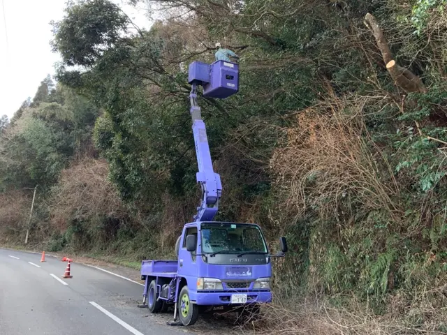 《空師》特殊伐採専門!【宇佐市より各地へお伺いします！】サービスの画像