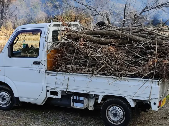 《空師》特殊伐採専門!【宇佐市より各地へお伺いします！】サービスの画像