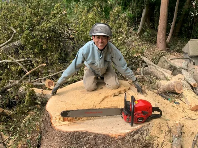 《空師》特殊伐採専門!【宇佐市より各地へお伺いします！】サービスの画像