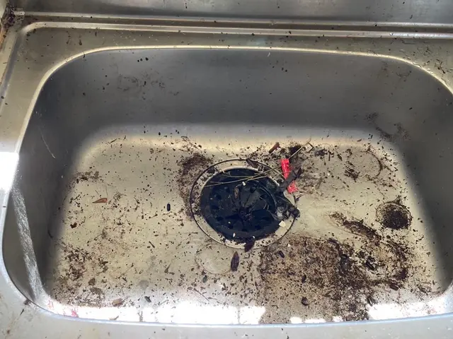 大量の害虫OK◎女性スタッフが多い会社です！クリーニングオプションあります！サービスの画像