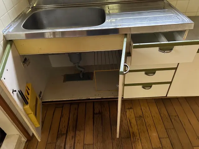 大量の害虫OK◎女性スタッフが多い会社です！クリーニングオプションあります！サービスの画像