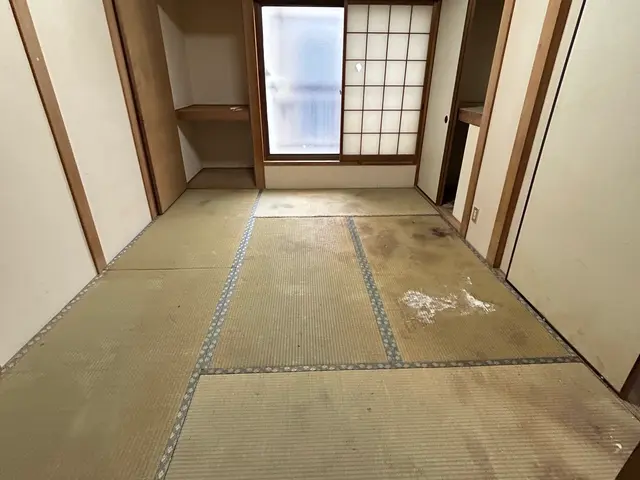 大量の害虫OK◎女性スタッフが多い会社です！クリーニングオプションあります！サービスの画像