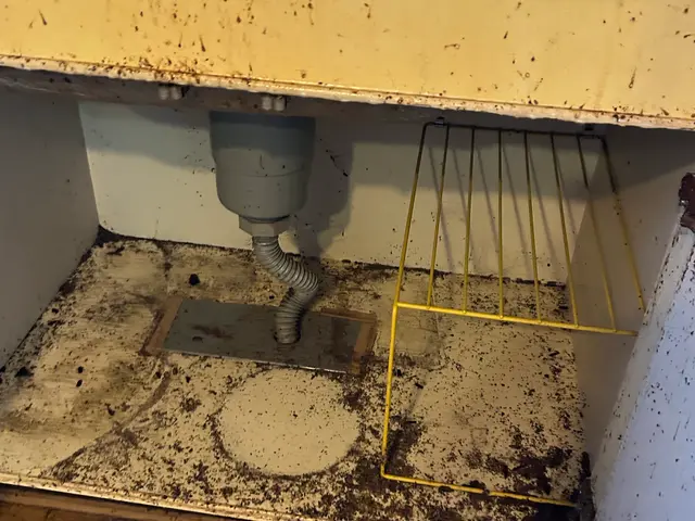 大量の害虫OK◎女性スタッフが多い会社です！クリーニングオプションあります！サービスの画像