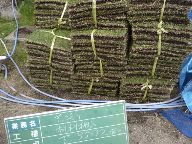 プロの技術でご満足いただけるように心を込めて作業いたしますサービスの画像