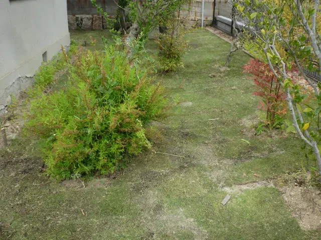 プロの技術でご満足いただけるように心を込めて作業いたしますサービスの画像