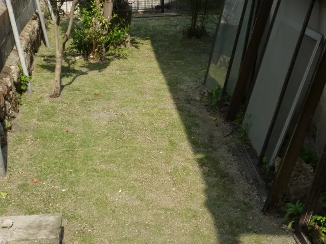 プロの技術でご満足いただけるように心を込めて作業いたしますサービスの画像