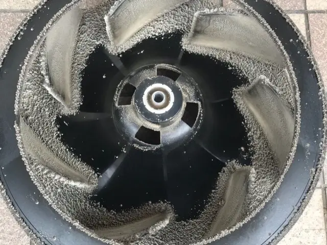 ★年間8000件の実績!!★カビ取りの専門店やってます★サービスの画像