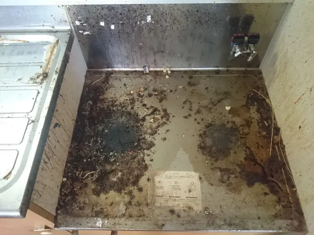 賃貸アパート空室清掃　100%自社対応　旭川市及び近隣市町村対応サービスの画像