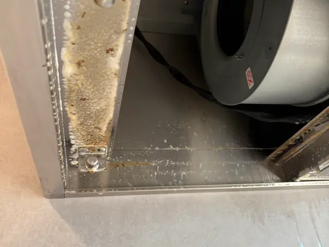 プロの技術でご満足いただけるように心を込めて作業いたしますサービスの画像