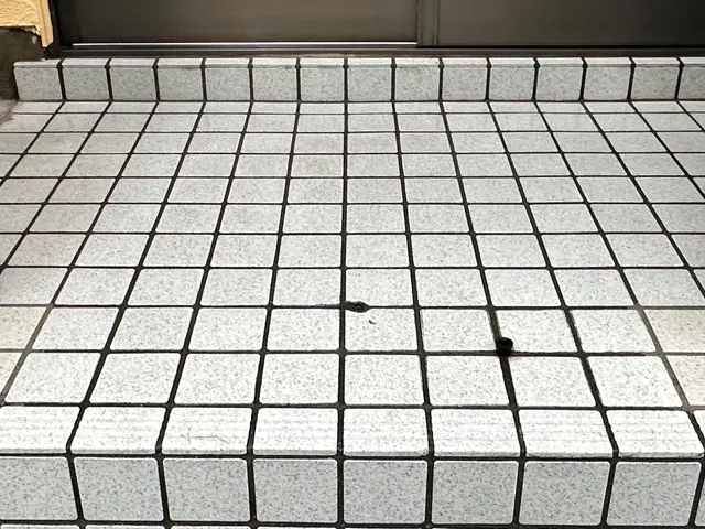 20年以上の実績！お客様のニーズに応じた玄関タイルクリーニングサービスの画像