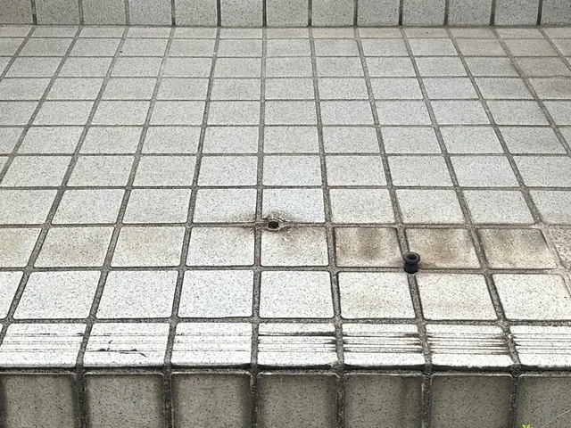 20年以上の実績！お客様のニーズに応じた玄関タイルクリーニングサービスの画像