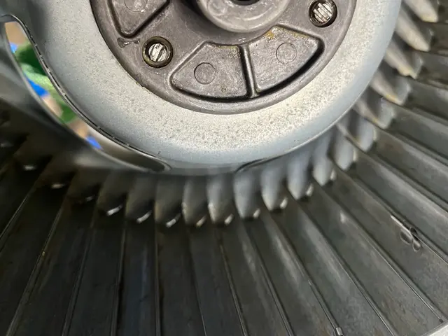 【年末の油汚れリセット】頑固なベトベトも分解洗浄でピカピカ！口コミ高評価店★サービスの画像