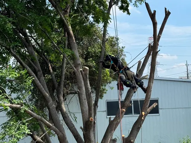 ※22年間の実績です。【本物の適正価格】◎即日お見積提示可です◇サービスの画像