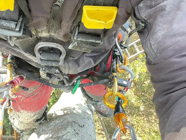 ※22年間の実績です。【本物の適正価格】◎即日お見積提示可です◇サービスの画像