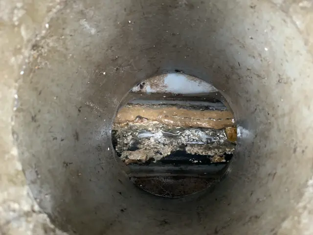 【地域密着価格でご提供中！】ご近所とおまとめ依頼で10%オフ｜PayPay払い可サービスの画像