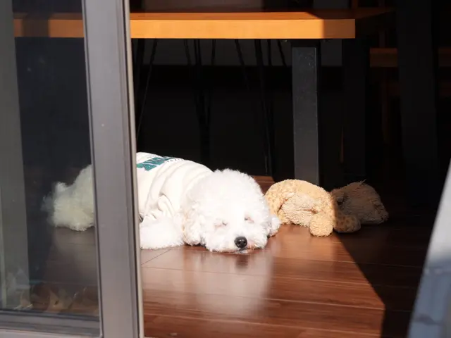 【全データ200枚以上お渡し★】家族もペットも安心撮影♪QR決済対応◎