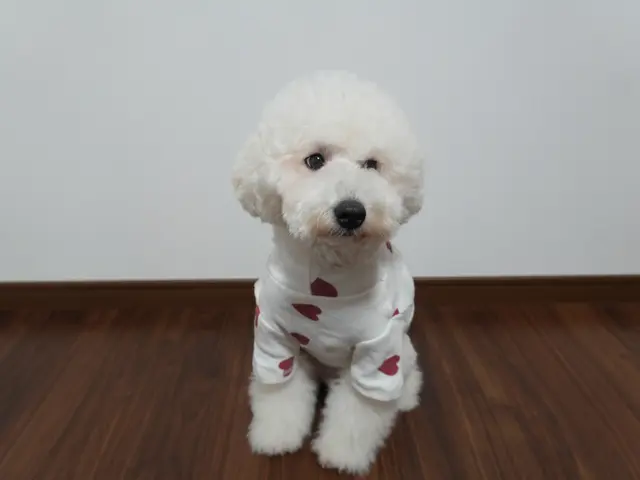 【全データ200枚以上お渡し★】家族もペットも安心撮影♪QR決済対応◎