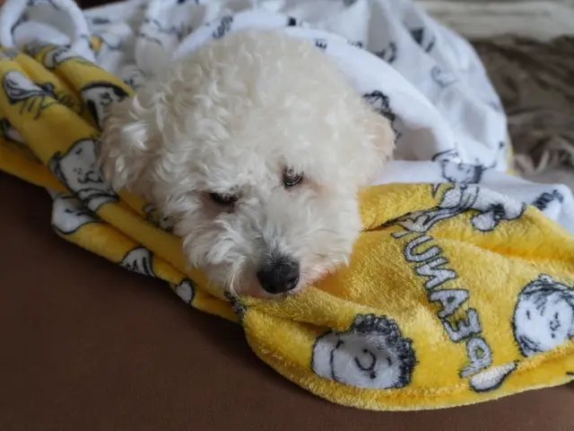 【全データ200枚以上お渡し★】家族もペットも安心撮影♪QR決済対応◎