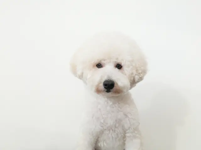 【全データ200枚以上お渡し★】家族もペットも安心撮影♪QR決済対応◎