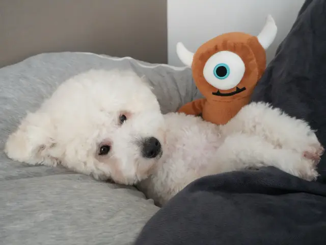 【全データ200枚以上お渡し★】家族もペットも安心撮影♪QR決済対応◎