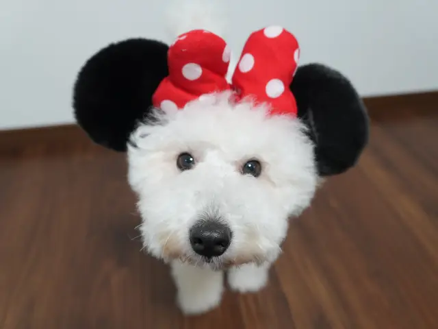 【全データ200枚以上お渡し★】家族もペットも安心撮影♪QR決済対応◎