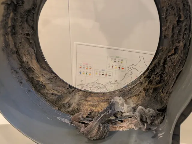 【P代無料＆非喫煙】ブラシ回収13200円〜 最短22日午後　空きアリ〼サービスの画像