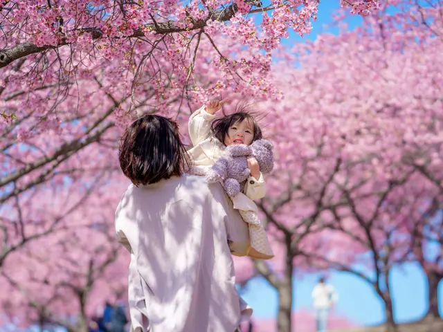 二児のパパカメラマンが一週間以内に納品！