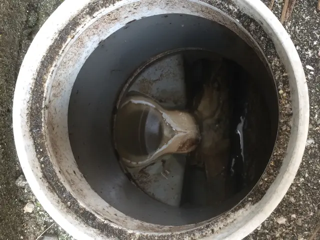 蓄積された油汚れなどを徹底除去！細部まで徹底的に！詰まる前に先ずは予防！サービスの画像