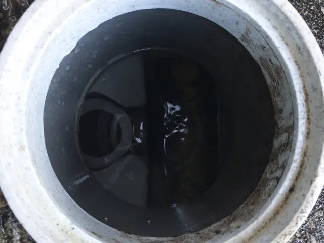 蓄積された油汚れなどを徹底除去！細部まで徹底的に！詰まる前に先ずは予防！サービスの画像