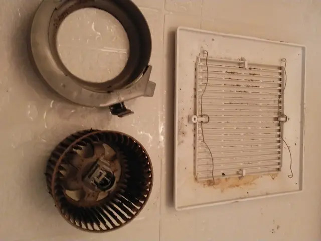 カビ、水垢、石鹸カス、皮脂汚れ、鏡のウロコ、浴槽エプロン内。様々な汚れ一掃しますサービスの画像