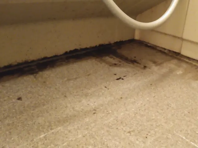 カビ、水垢、石鹸カス、皮脂汚れ、鏡のウロコ、浴槽エプロン内。様々な汚れ一掃しますサービスの画像