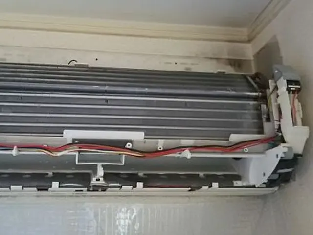 ☆秋得！消臭除菌洗浄でカビを落してスッキリと　☆完全分解も　☆現金払いお得！サービスの画像