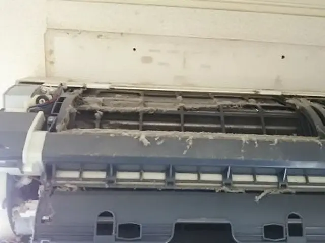 ☆秋得！消臭除菌洗浄でカビを落してスッキリと　☆完全分解も　☆現金払いお得！サービスの画像