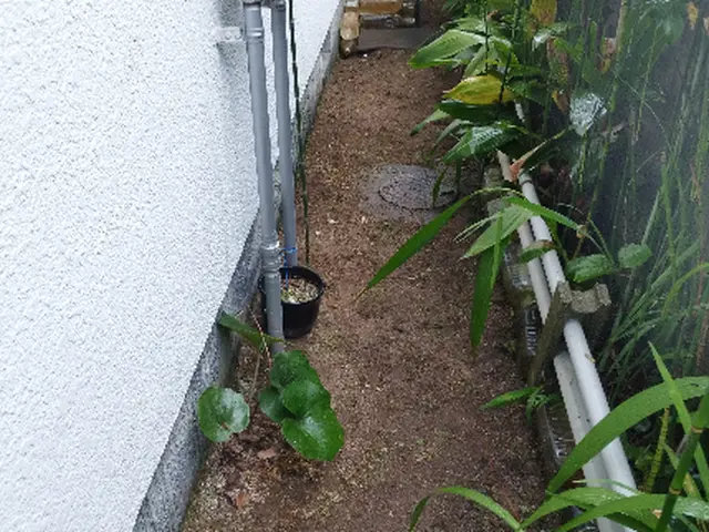 草むしり（手作業）サービスの画像