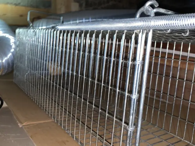 お子様・ペット・家屋にも安心安全な施工。養生などの徹底！10年以上の経験にて★サービスの画像