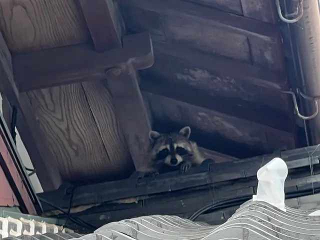 お子様・ペット・家屋にも安心安全な施工。養生などの徹底！10年以上の経験にて★サービスの画像