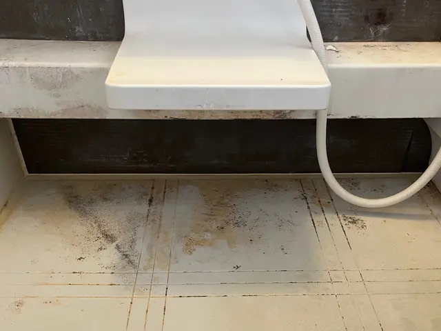 清潔感のあるお風呂場に仕上げます！サービスの画像