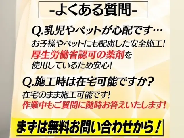 24h/当日可！国家資格を持つ、プロの害鳥対策でもう見たくないを実現します！サービスの画像
